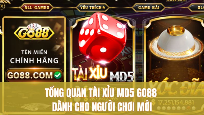 Tài Xỉu MD5 GO88: Mẹo Chơi Ổn Định Lâu Dài 1 Tổng quan Tài Xỉu MD5 GO88 dành cho người chơi mới